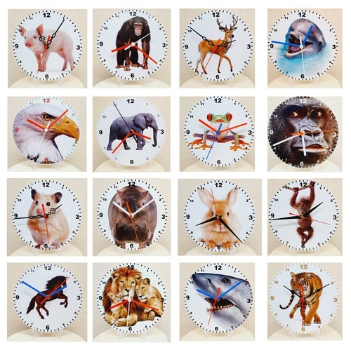 Your favourite animal - your, a